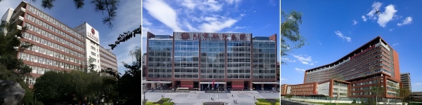 拼2 (10)(1).jpg