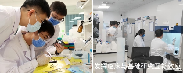 拼9 (6)(1).jpg