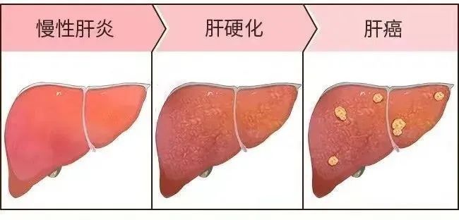 02.jpg 图片