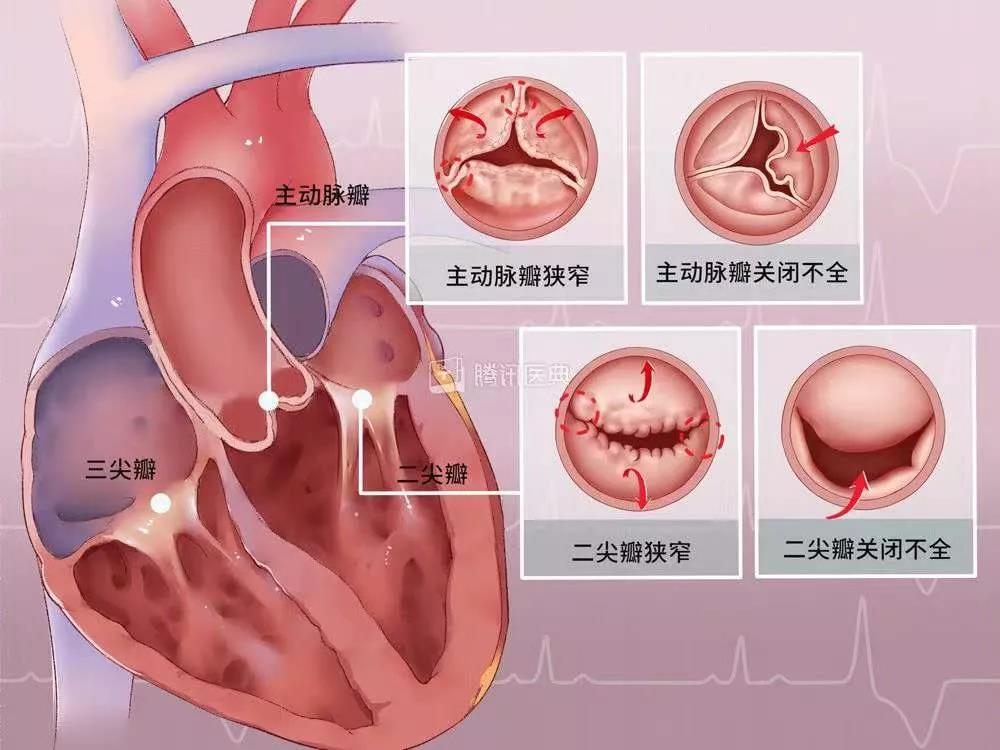 微信图片_20220106161458.jpg 微信图片_20220106161458.jpg