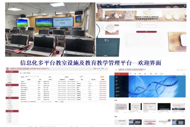 2信息化平台建设.jpg