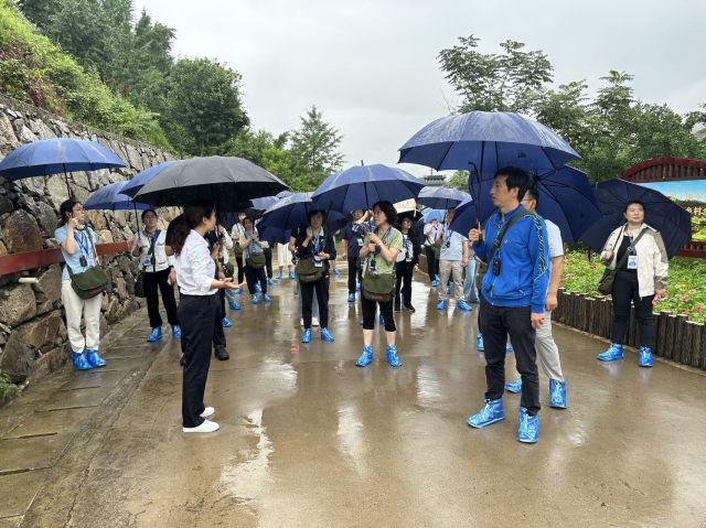 照片26.jpg 照片26.jpg